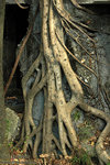 DSC_8296 copy