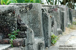 DSC_8311 copy
