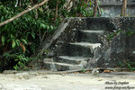 DSC_8312 copy
