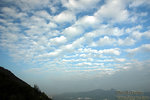 DSC_8320 copy