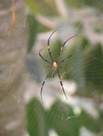 DSCN0089