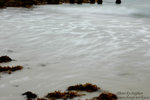 DSC_6713 copy