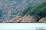 DSC_6716 copy