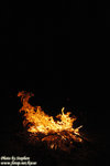 DSC_6743 copy