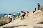 DSC_6274 copy