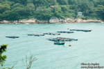 DSC_6276 copy
