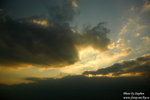 DSC_7449 copy