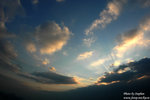 DSC_7461 copy