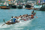DSC_1903 copy