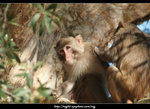 DSCF0298