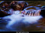 DSCF0312