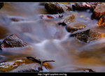 DSCF0317