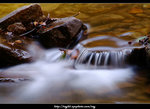 DSCF0321