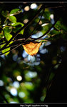 DSCF0336