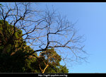 DSCF0339
