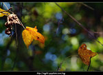 DSCF0497