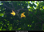 DSCF0540
