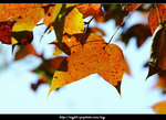 DSCF0579