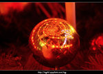 DSCF0220