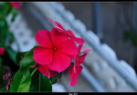 DSC_5474