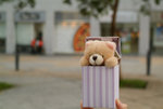 DSCF1209