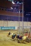DSCF0213