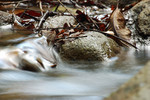 DSC_2083_RS