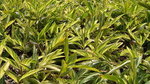 2006_0212Image0005