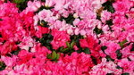 2006_0212Image0009