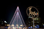 Sapporo light-up