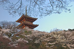 
Kiyomizudera or Clear Water Temple at Sunset 