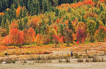 In Diversity we celebrate Goddess Autumn