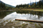 
The quaint lake