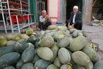 
melon vendors at the Kashgar market - a highlight of this trip