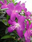 20080426001