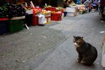 DSC00320