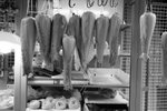 DSC00330