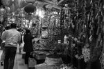 DSC00362