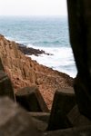 46090033