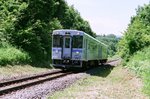 15620026