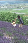 2000Hokkaido33