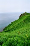 11940001