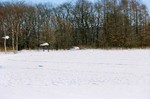 10930016