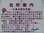 20060706029