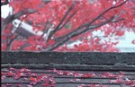 2002-Kyoto-016