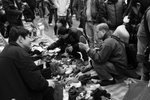 DSC00539