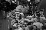 DSC00547