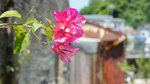 DSC00359