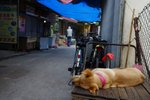 DSC00030