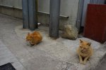 DSC00049